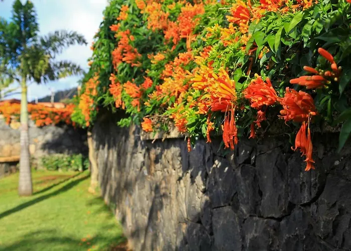 Nordic House Near The In Quiet Neighborhood, Amenities * Tacoronte