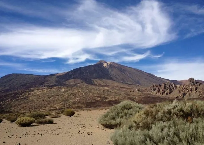 Nordic House Near The In Quiet Neighborhood, Amenities